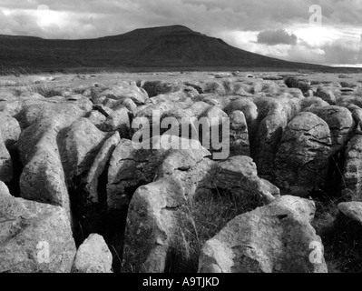 Ingleborough mit einem Vordergrund Kalkstein Pflaster, entnommen aus Schuppen Moor, Yorkshire Dales National Park, North Yorkshire, UK Stockfoto