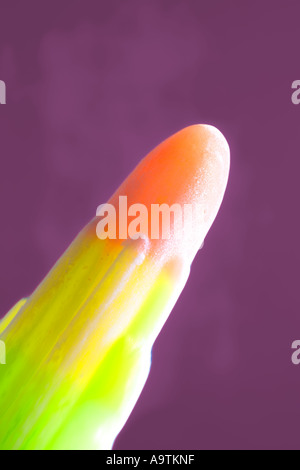 Rakete geformt Eis am Stiel lila Hintergrund Stockfoto
