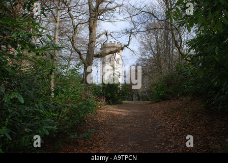 Nelsons Turm, Gipfel von Cluny Hill, Grant Park, Forres, Moray, Schottland, erinnert an Nelson und der Schlacht von Trafalgar Stockfoto