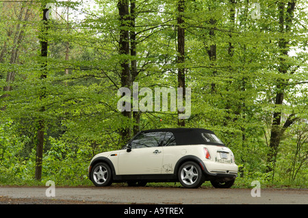 MINI Cooper Cabrio geparkt auf einem Feldweg mit hohen Bäumen im Hintergrund Stockfoto