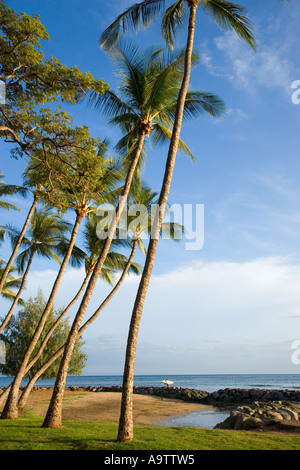 Puamana Beach Park Lahaina Maui Hawaii Stockfoto