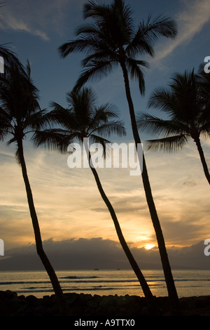 Puamana Beach Park Lahaina Maui Hawaii Stockfoto