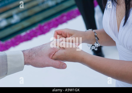 Braut Bräutigam s Finger Ring aufsetzen Stockfoto