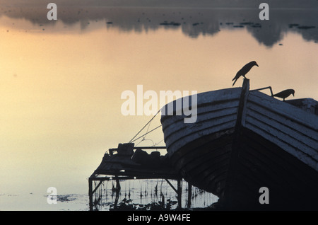 bird perched on boat Lake Koday Kanal India Stockfoto