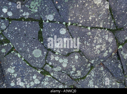 Abstrakte Muster zu knacken und Flechten auf einem Felsblock Stockfoto