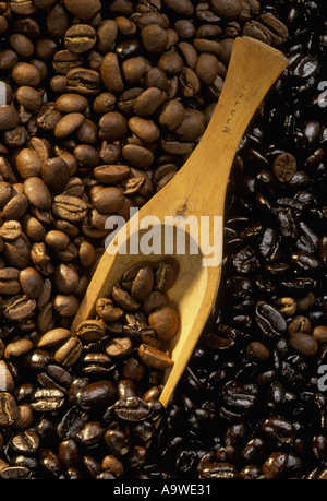 Schwarze und braune Bohnen mit einer hölzernen Schaufel Stockfoto
