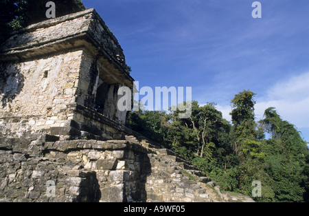 Mexico Chiapas Palenque Staatstempel 13 Stockfoto