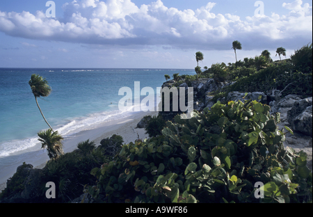 Mexiko-Yucatan-Zustand Tulum Palmen und Strand am karibischen Meer Stockfoto
