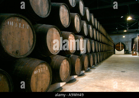 Fässer Portwein reifen in den Kellern Offley in Porto Portugal Stockfoto