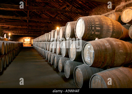 Fässer Portwein reifen in den Kellern Offley in Porto Portugal Stockfoto