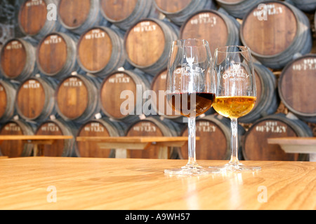 Brille von Ruby Tawny und White Port in die Offley Kellern in Porto Portugal Stockfoto