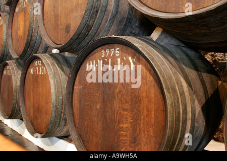 Fässer Portwein reifen in den Kellern Offley in Porto Portugal Stockfoto