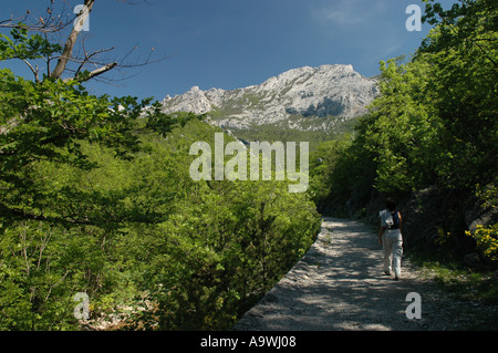 Kalkstein Karst Rock Velebit Berge Nationalpark Paklenica Kroatien Stockfoto