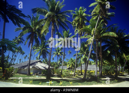 PALMEN PLANTAGE RESORT MOLOLO LAILAI INSEL FIDSCHI Stockfoto