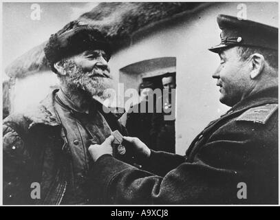 Medaille für Partisan Stockfoto