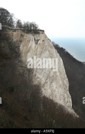 Kreide-Felsen Koenigsstuhl aus Victoria, Deutschland, Rügen, NP Jasmund Stockfoto