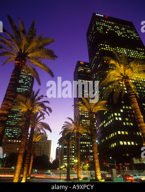 PALM BÄUME WOLKENKRATZER FIGUEROA STREET DOWNTOWN LOS ANGELES KALIFORNIEN USA Stockfoto