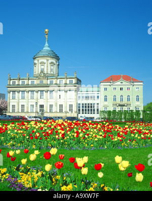 Ehemaliges Rathaus Und Knobelsdorff-Haus, Deutschland, Brandenburg, Potsdam Stockfoto