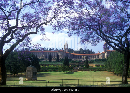 JACARANDA BÄUMEN UNION GEBÄUDE GÄRTEN (© HERBERT BAKER 1909) PRETORIA GAUTENG WITWATERSRAND TRANSVAAL SÜDAFRIKA Stockfoto