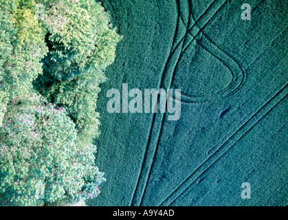 Grün mit Reifen Spuren Feld von oben Stockfoto
