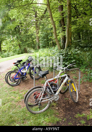 Fahrräder auf Gestellen in Landschaft Wald Einstellung Wales UK gesperrt Stockfoto