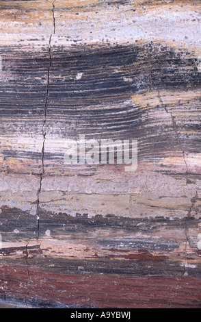 Holzmaserung auf versteinerten Baumstamm, Talampaya Nationalpark, Argentinien Stockfoto