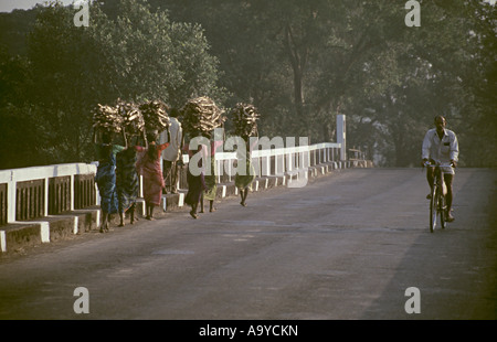 Dorffrauen, die das Brennholz für den Verkauf in den lokalen Markt und ein Mann auf einem Fahrrad an Mhapral in der Nähe von Mangaon vorbei. Stockfoto