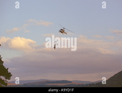 Red Deer Control Aerial zunahmend gekeult Schlachtkörper spart Zeit und beweist ein effizientes System. GMM 1346-48 Stockfoto
