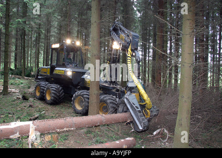 Waldarbeiter arbeiten mit einer Erntemaschine im Wald Stockfoto