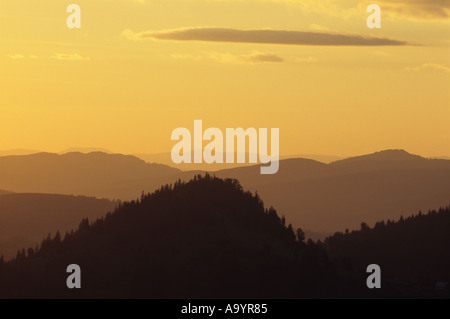 Untergehende Sonne wirft einen gelben Farbton über die Gipfel der Bergketten der Maramuresch Rumänien Stockfoto