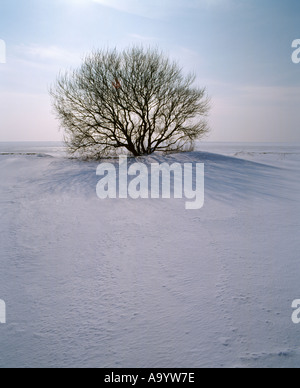 IJsselmeer Strand nach starkem Schneefall, Friesland, Niederlande Stockfoto