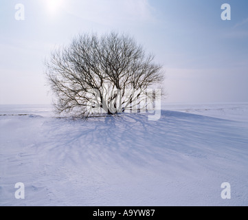 IJsselmeer Strand nach starkem Schneefall, Niederlande Stockfoto