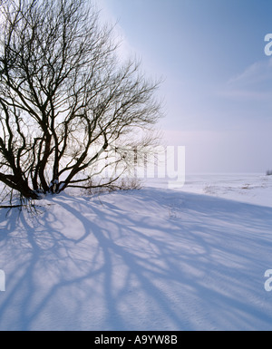 IJsselmeer Strand nach starkem Schneefall, Niederlande Stockfoto