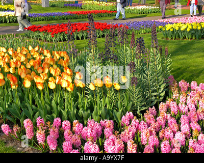 Gärten der Keukenhof in Lisse-Niederlande Stockfoto
