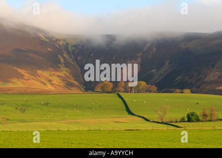 Tinto Hill im Nebel in der Nähe von Lanark Schottland Hill of Fire Stockfoto