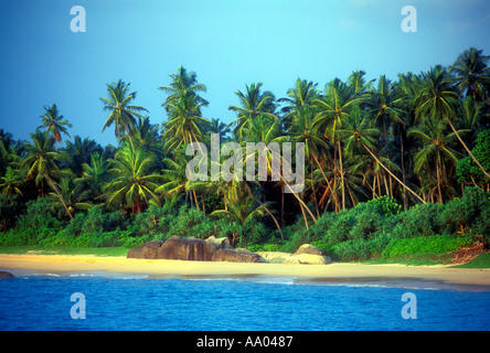 Tropischer Strand im südlichen Sri Lanka des Indischen Ozeans Stockfoto