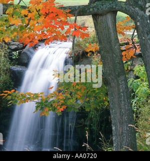 kleiner Wasserfall und Herbstlaub in Upstate New York USA Stockfoto