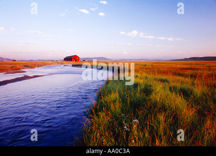 Der South Fork des South Platte River fließt durch reiche Weideland mit einem rustikalen rote Scheune im Hintergrund / Colorado, USA Stockfoto