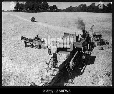 Dampf-Drescher der 1930er Jahre Stockfoto