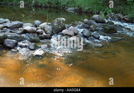 Wasser fließt über die Felsen am Raunis River Vidzeme Lettland Stockfoto