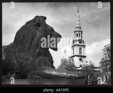 Landseer Löwe Stockfoto