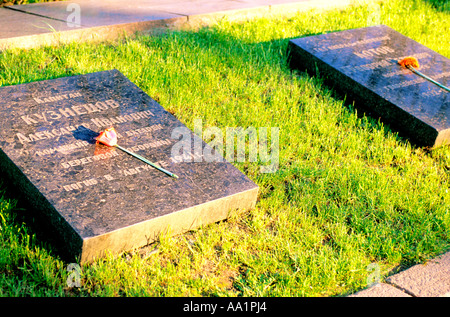 Ukraine, Odessa, Gräber auf Soldatenfriedhof, erhöht, Ansicht Stockfoto