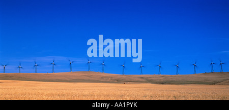 Reihe von Windenergieanlagen auf Hügel, Cowley Ridge, Alberta, Kanada Stockfoto