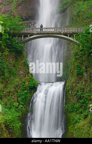 Multnomah Falls, Columbia River Gorge National Scenic Area, Oregon, USA Stockfoto