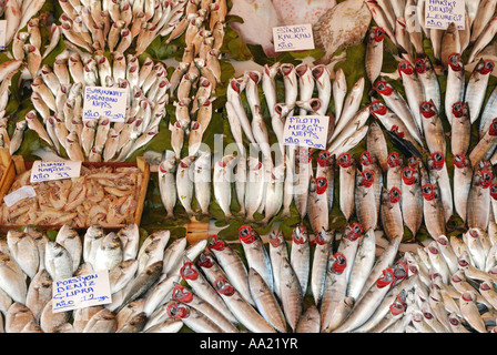 Kumkapi Fischmarkt Istanbul Türkei anzeigen Stockfoto