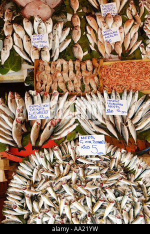 Kumkapi Fischmarkt Istanbul Türkei anzeigen Stockfoto