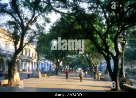 Soft-Fokus erschossen am frühen Abend des Paseo del Prado oder Paseo de Marti (gemeinhin als El Prado), Habana Vieja, Havanna, Kuba Stockfoto