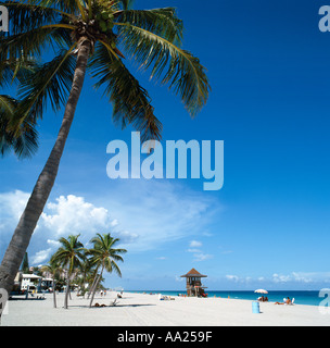 Hollywood Beach, in der Nähe von Fort Lauderdale, Broward County, Florida, USA Stockfoto