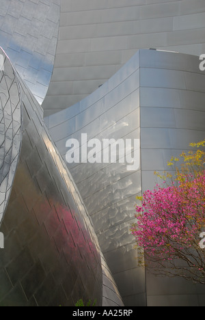 Walt Disney Concert Hall-Los Angeles-Kalifornien und eine rosa Trompete Baum "Tabebuia Impetignosa" Stockfoto