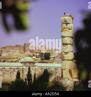 Störche nisten auf einer einzigen alten archäologischen Säule vor einem strahlend blauen Himmel in der Nähe von St Johns Basilica in Selcuk, Türkei Stockfoto